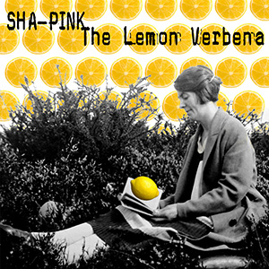 The Lemon Verbena Cover